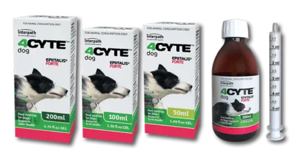 4Cyte Epiitalis Forte Dog 200ml