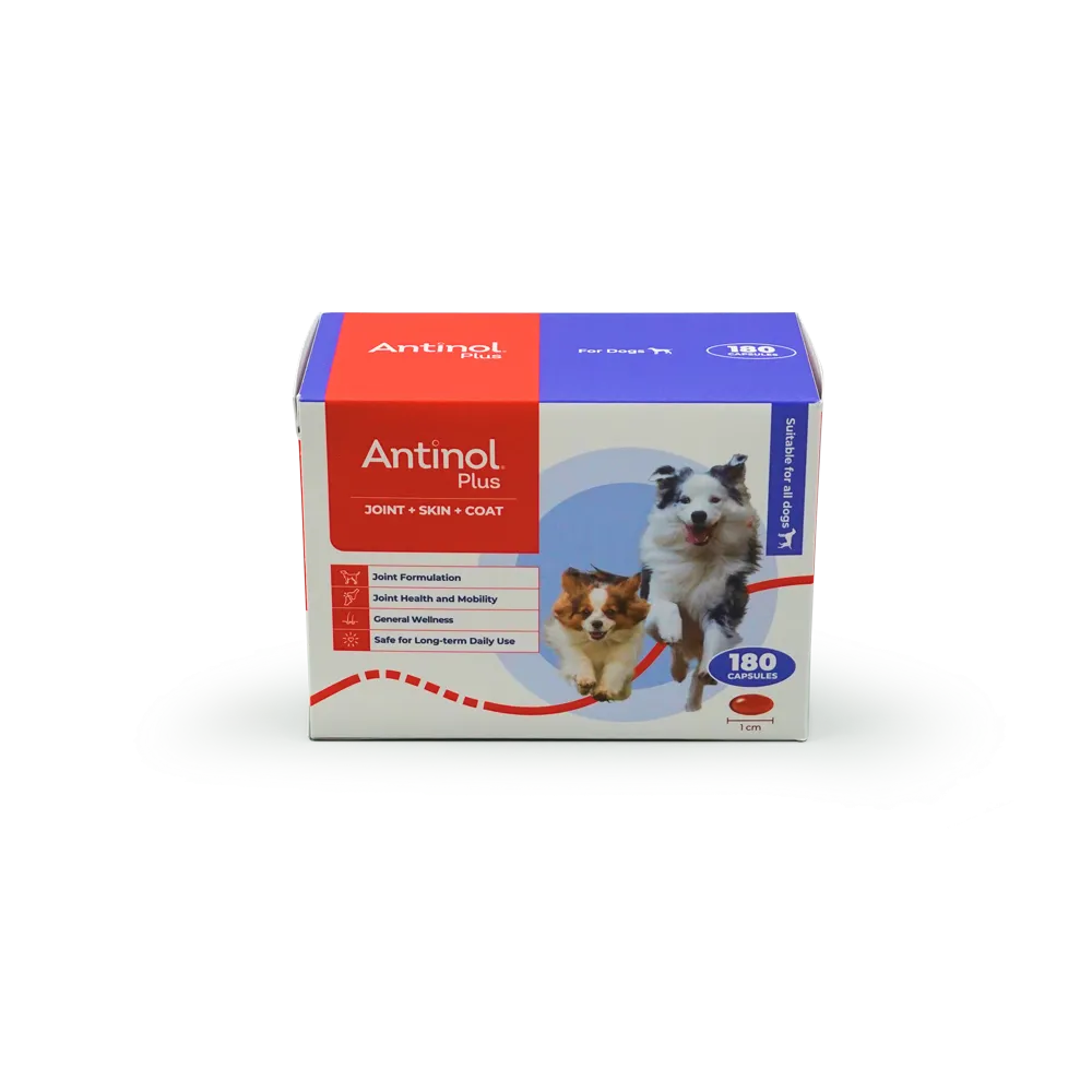 Antinol Plus for Dogs