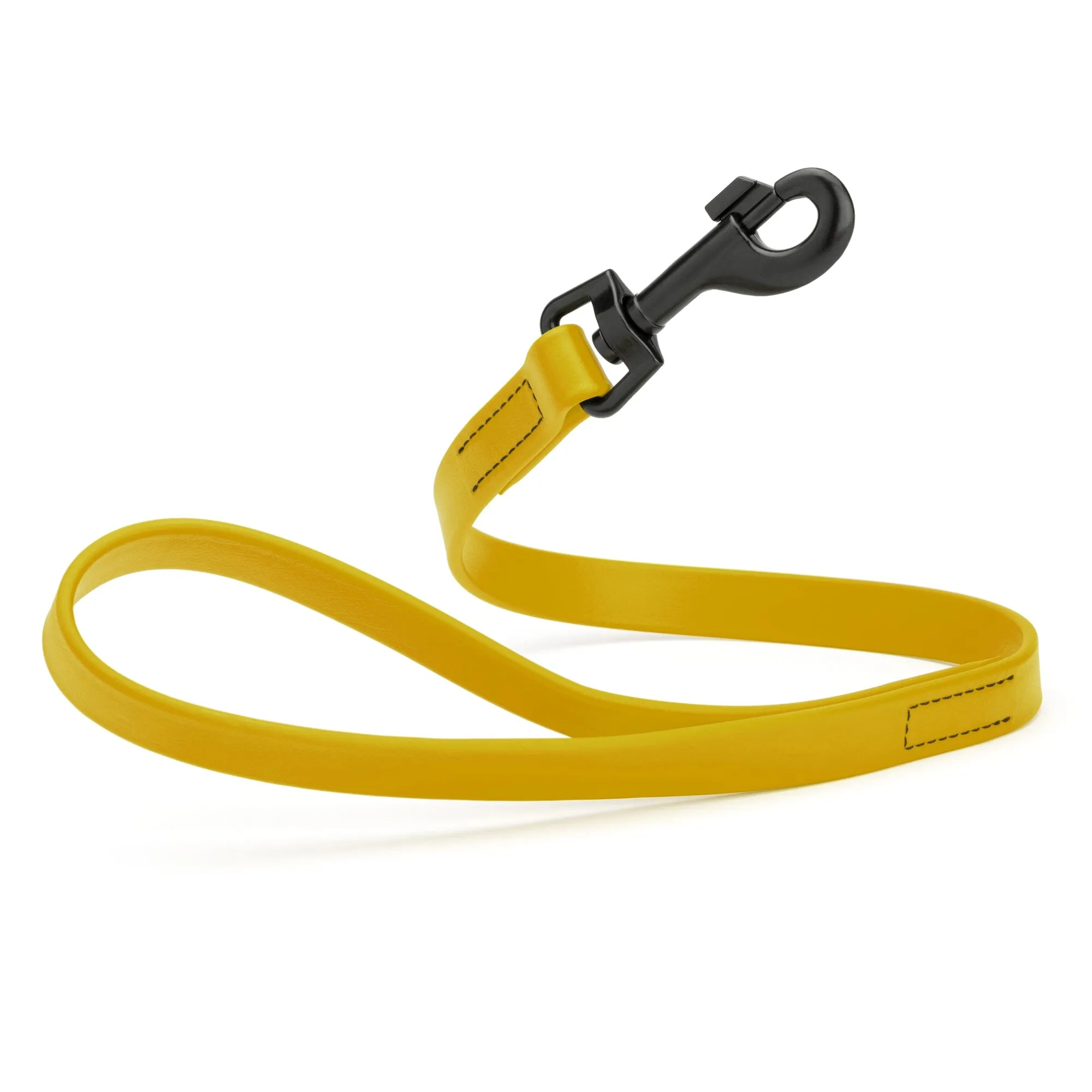 Biothane Waterproof Leash 2 ft