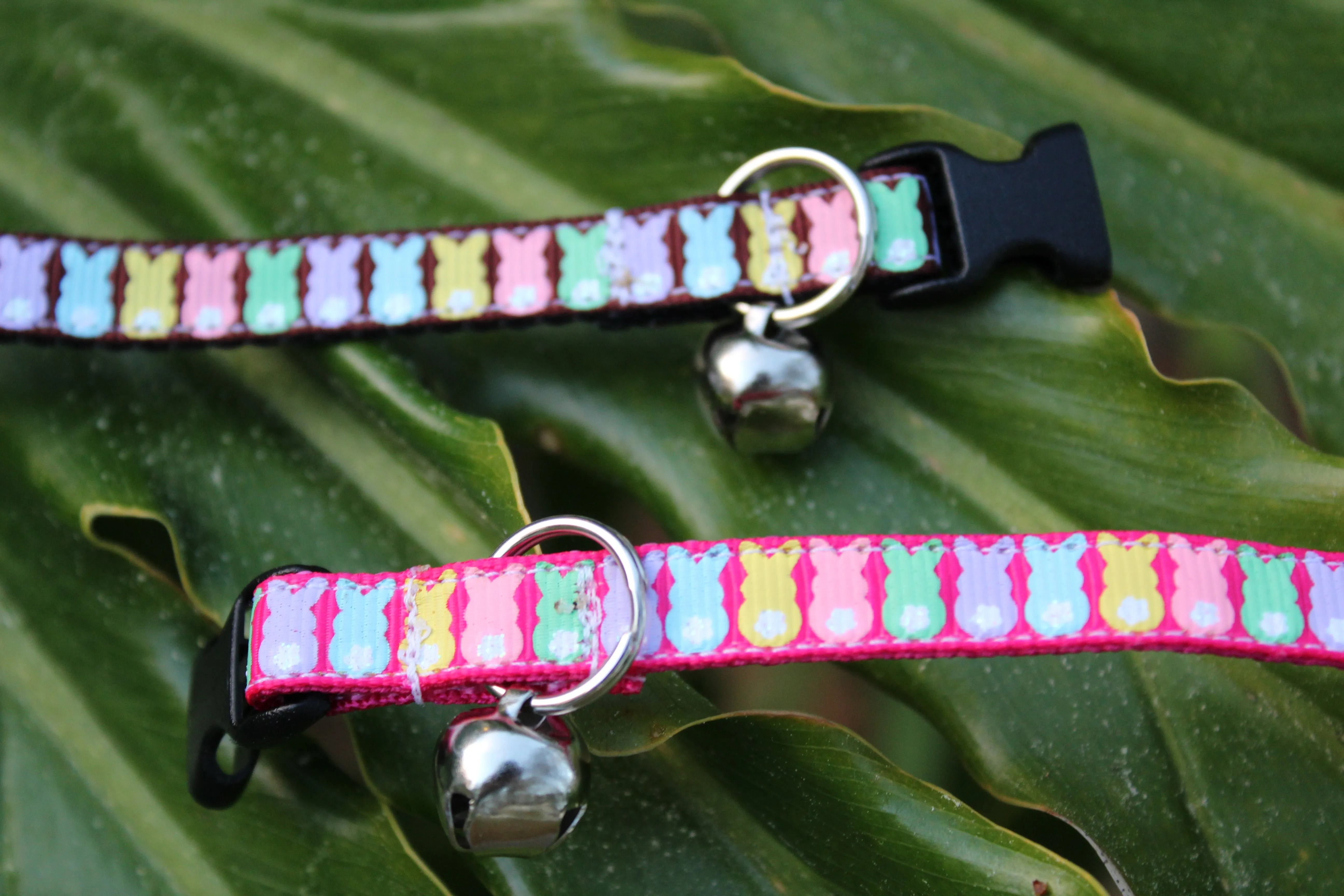 Bunny Cat Collars