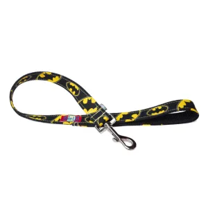 Character Themed Matching Traffic Leash