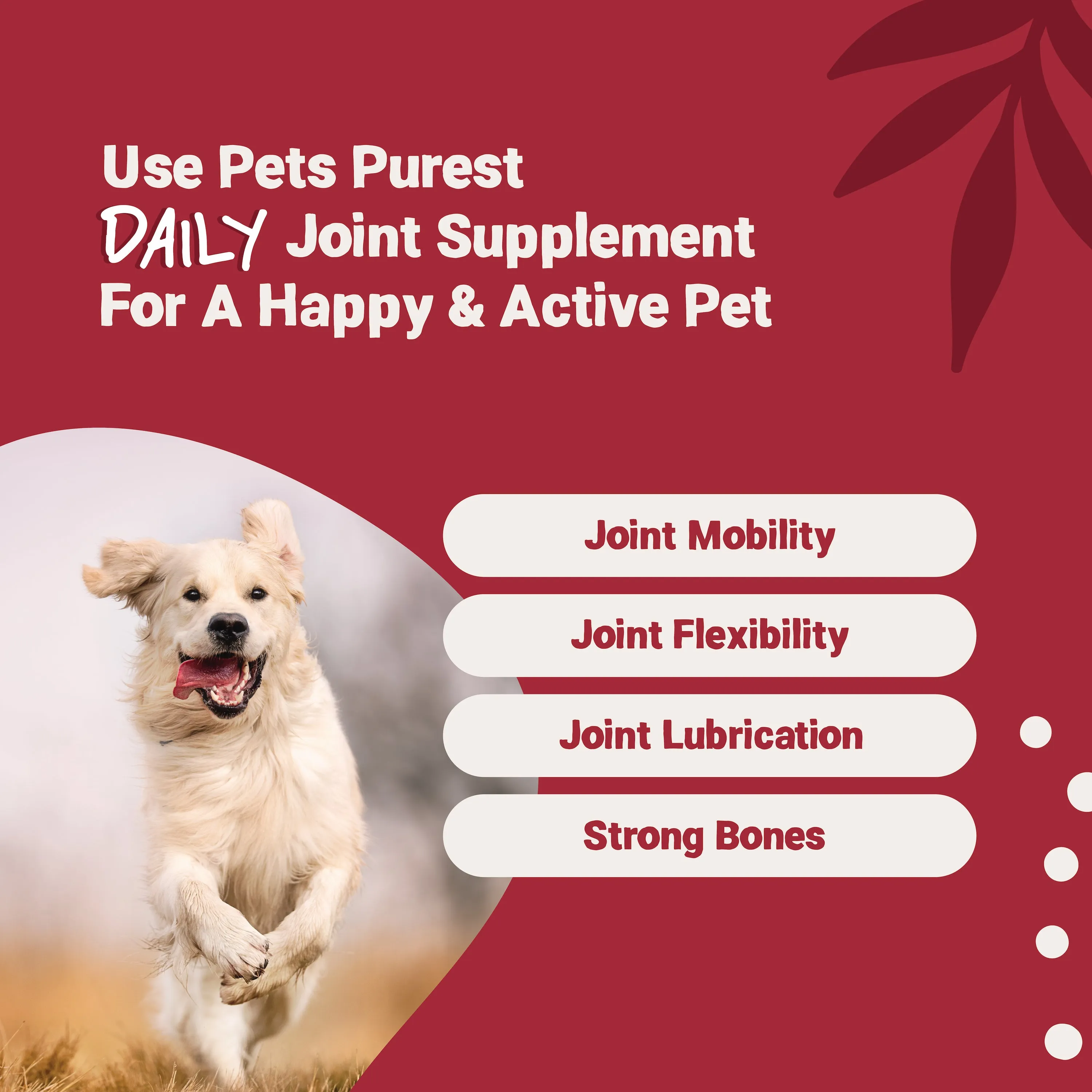 Daily Joint Supplement 300ml