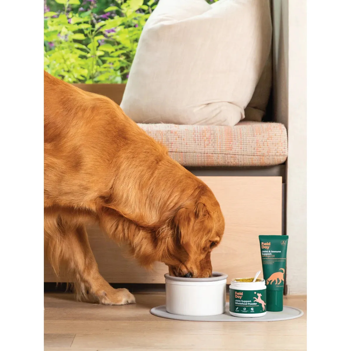 Field Day Joint Support Wholefood Powder Supplement 220g^^^