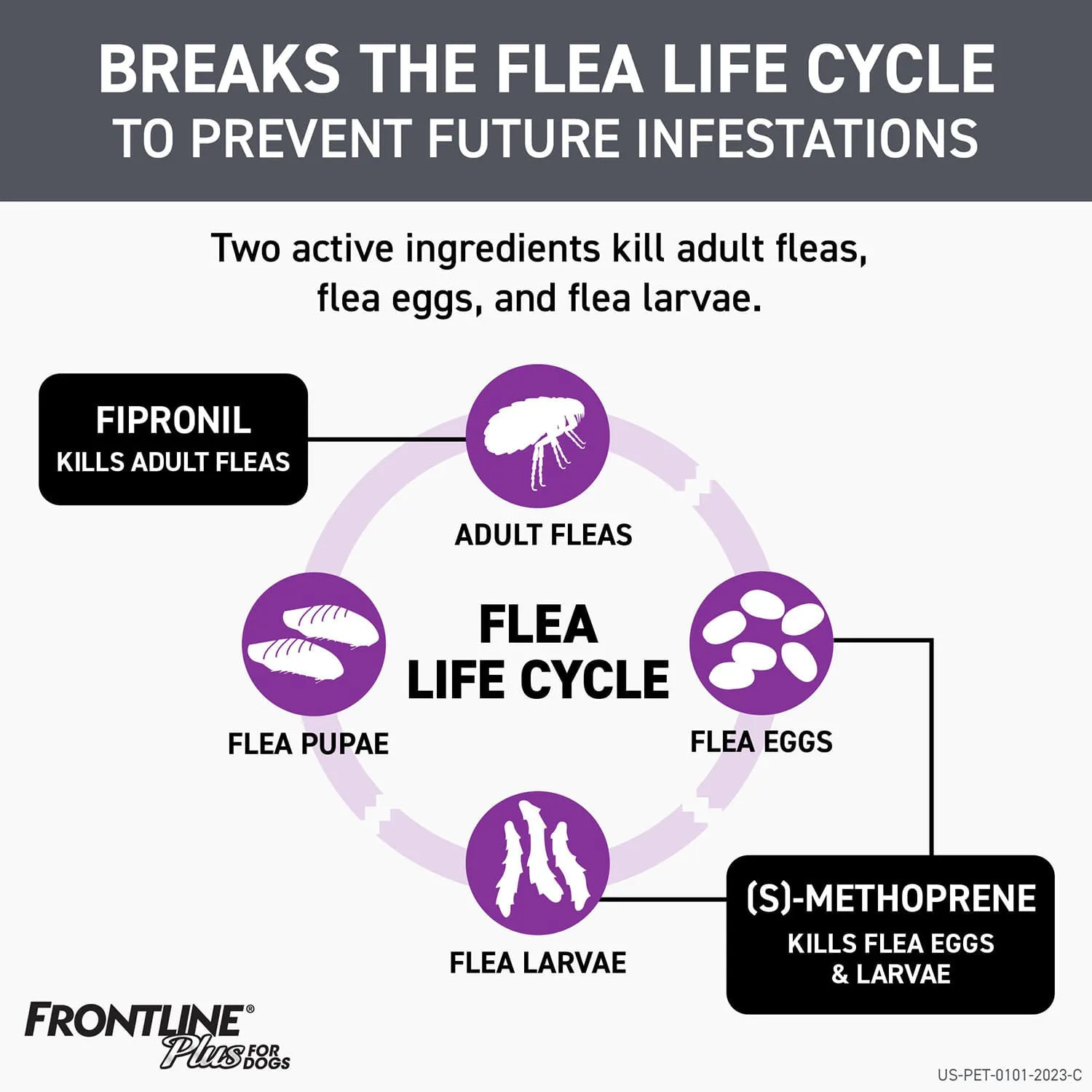Frontline Plus for Dogs