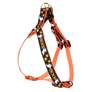 Harness | Boo!