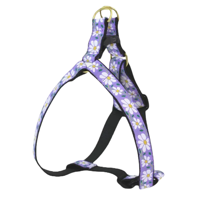 Harness | Daisy