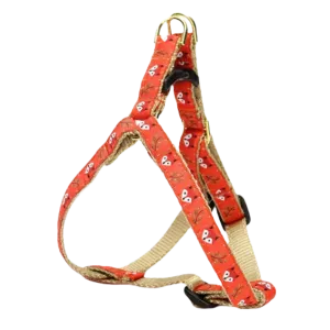 Harness | Foxy