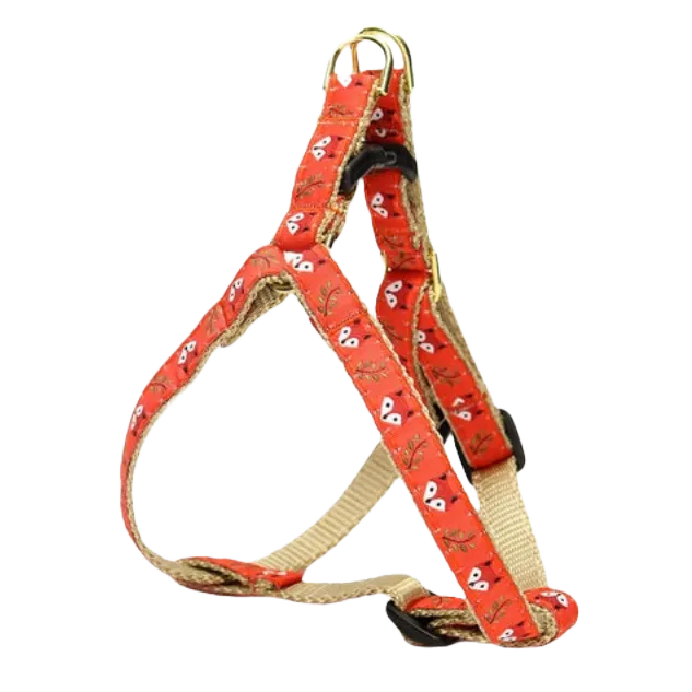Harness | Foxy