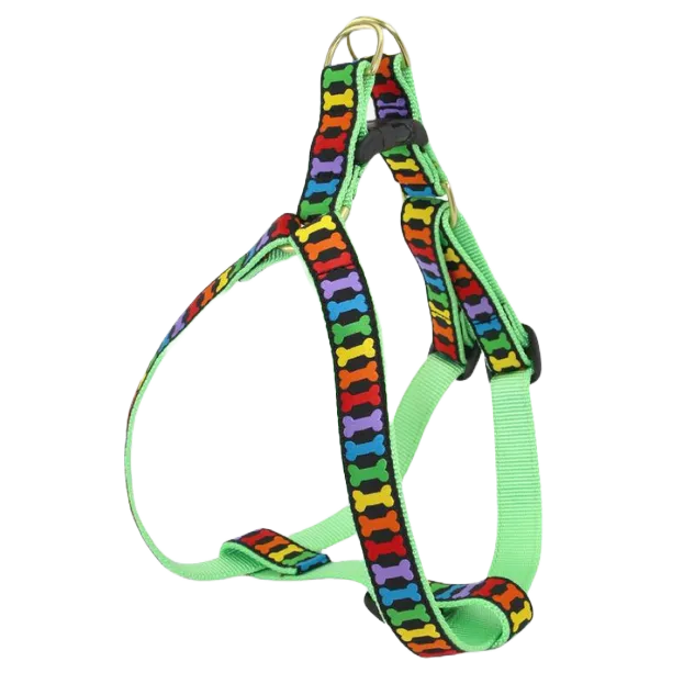 Harness | Rainbones