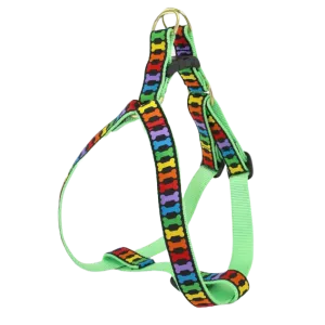 Harness | Rainbones