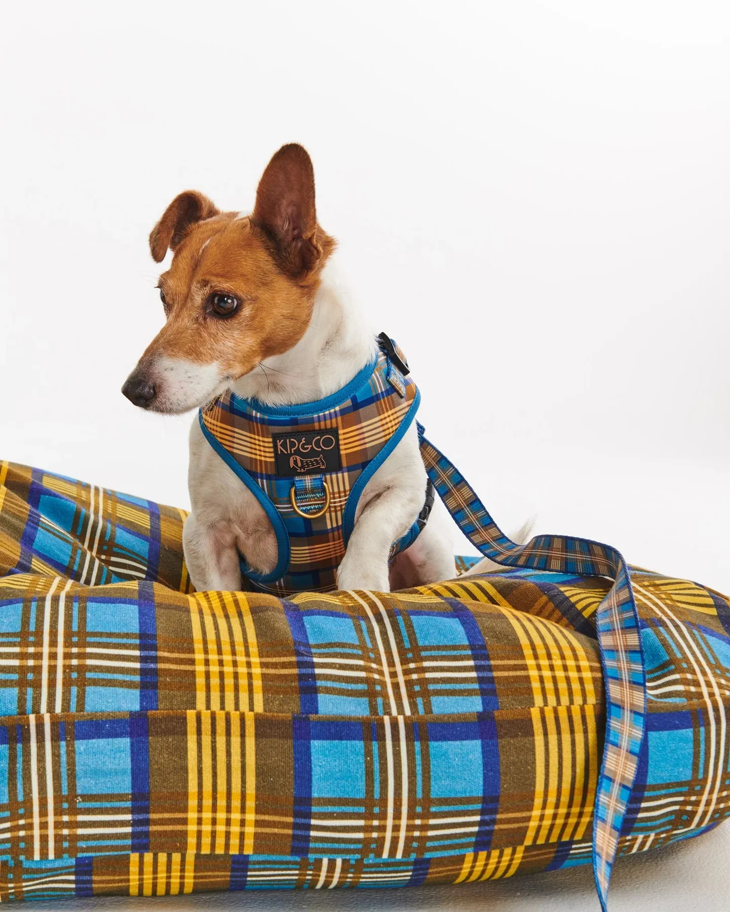 Kip & Co Cosy Tartan Dog Bed