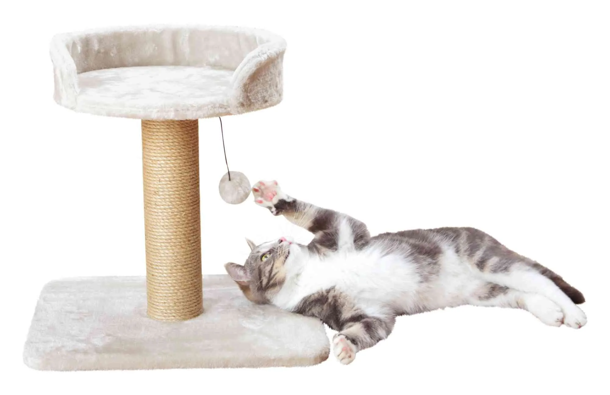 Mica Scratching post