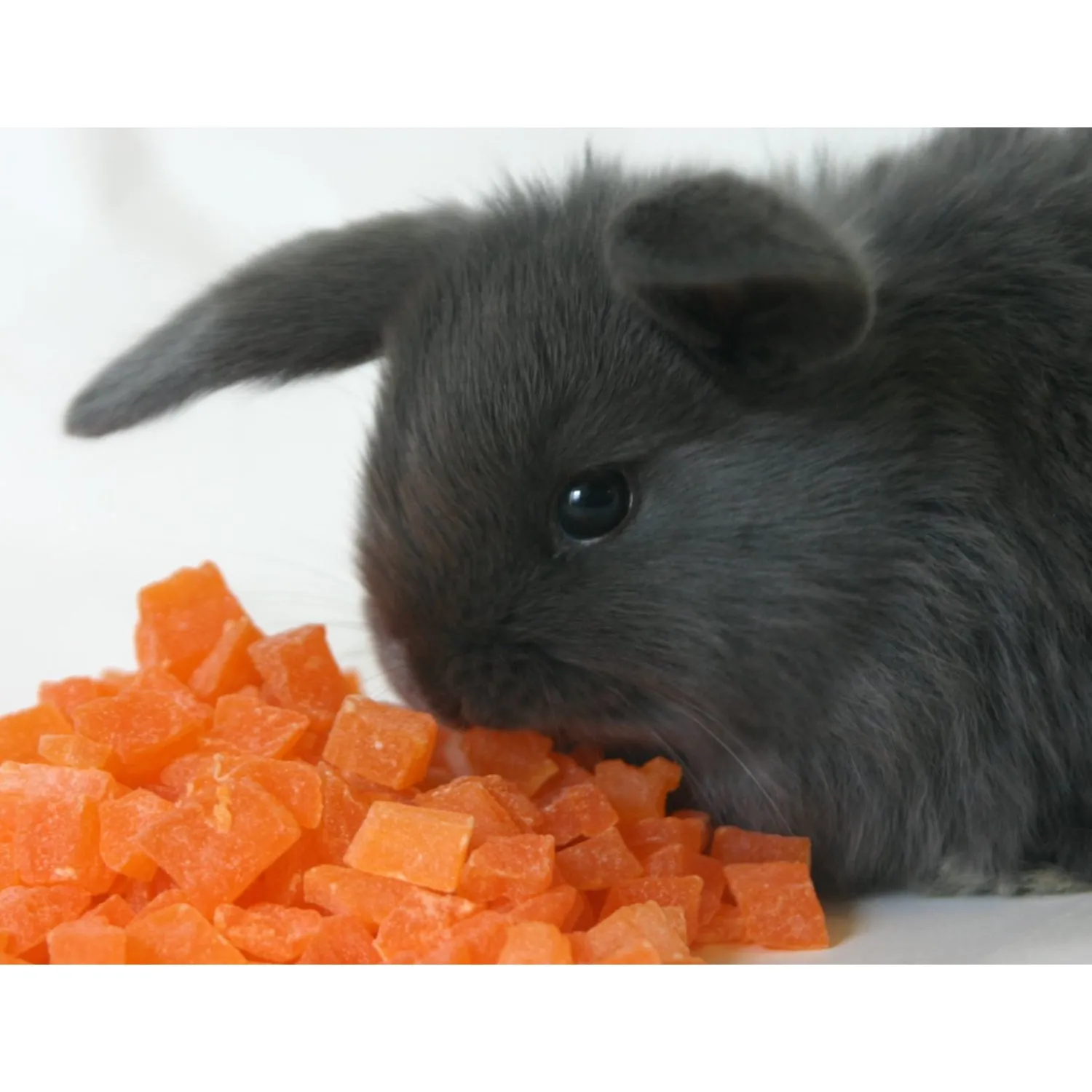 Papaya Treat