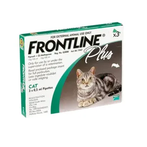 Plus Cat