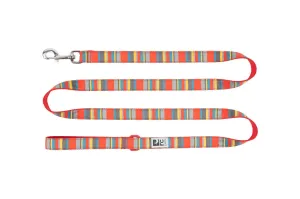 RC Pets Leash for Dogs in Multi Stripes Pattern