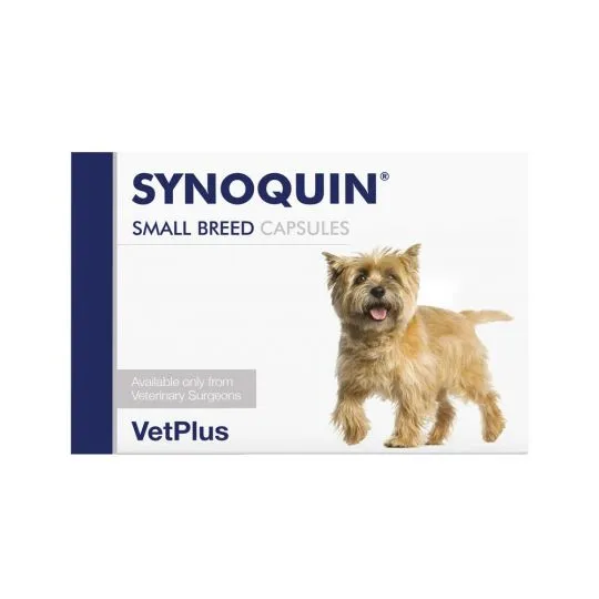 Synoquin Capsules for Dogs