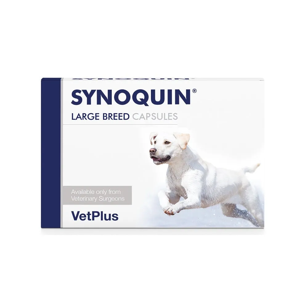 Synoquin Capsules for Dogs