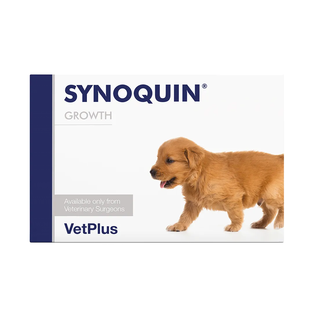 Synoquin Capsules for Puppy (60 Capsules)