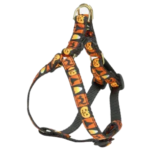 Teacup Harness | Halloween