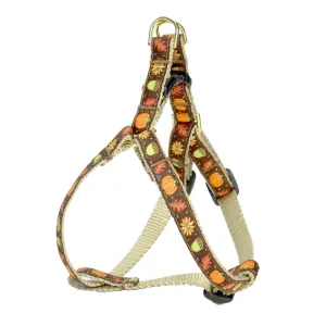 Teacup Harness | Harvest Time