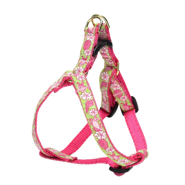 Teacup Harness | Sealife