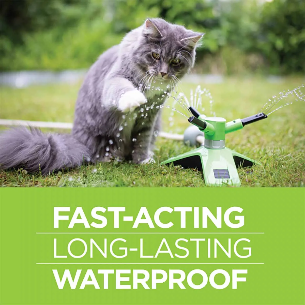 Vetality Firstect Plus for Cats, 3-pack