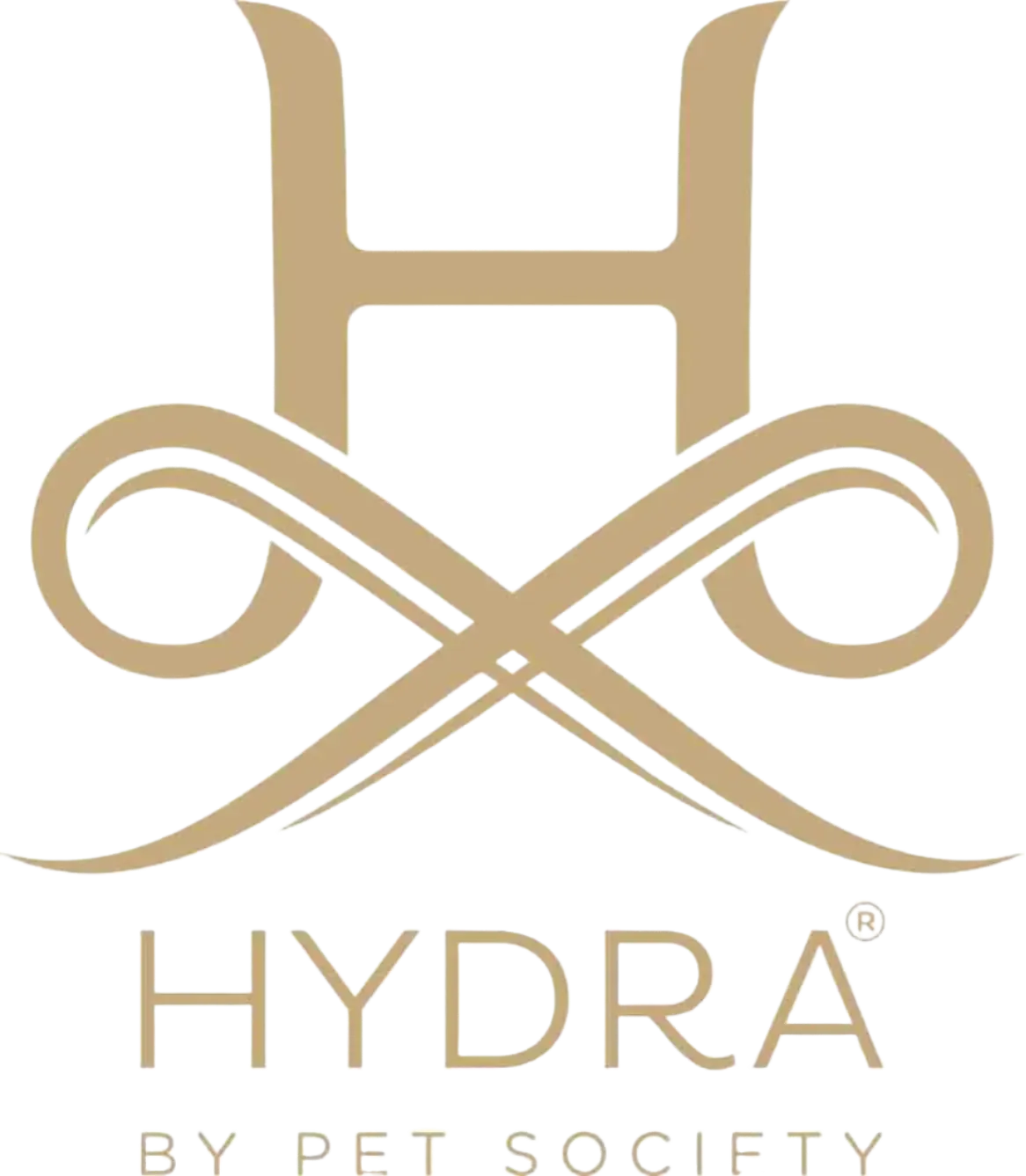 Volume in Powder Dry Shampoo by Hydra